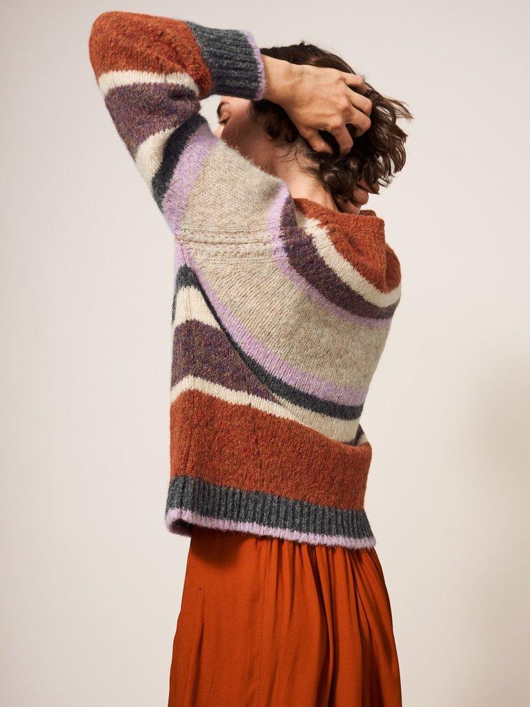 Lolly Stripe Jumper in MULTI - LIFESTYLE