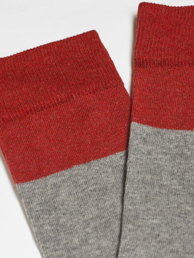 Colour Block 2 Pack Sock in MULTI - FLAT BACK