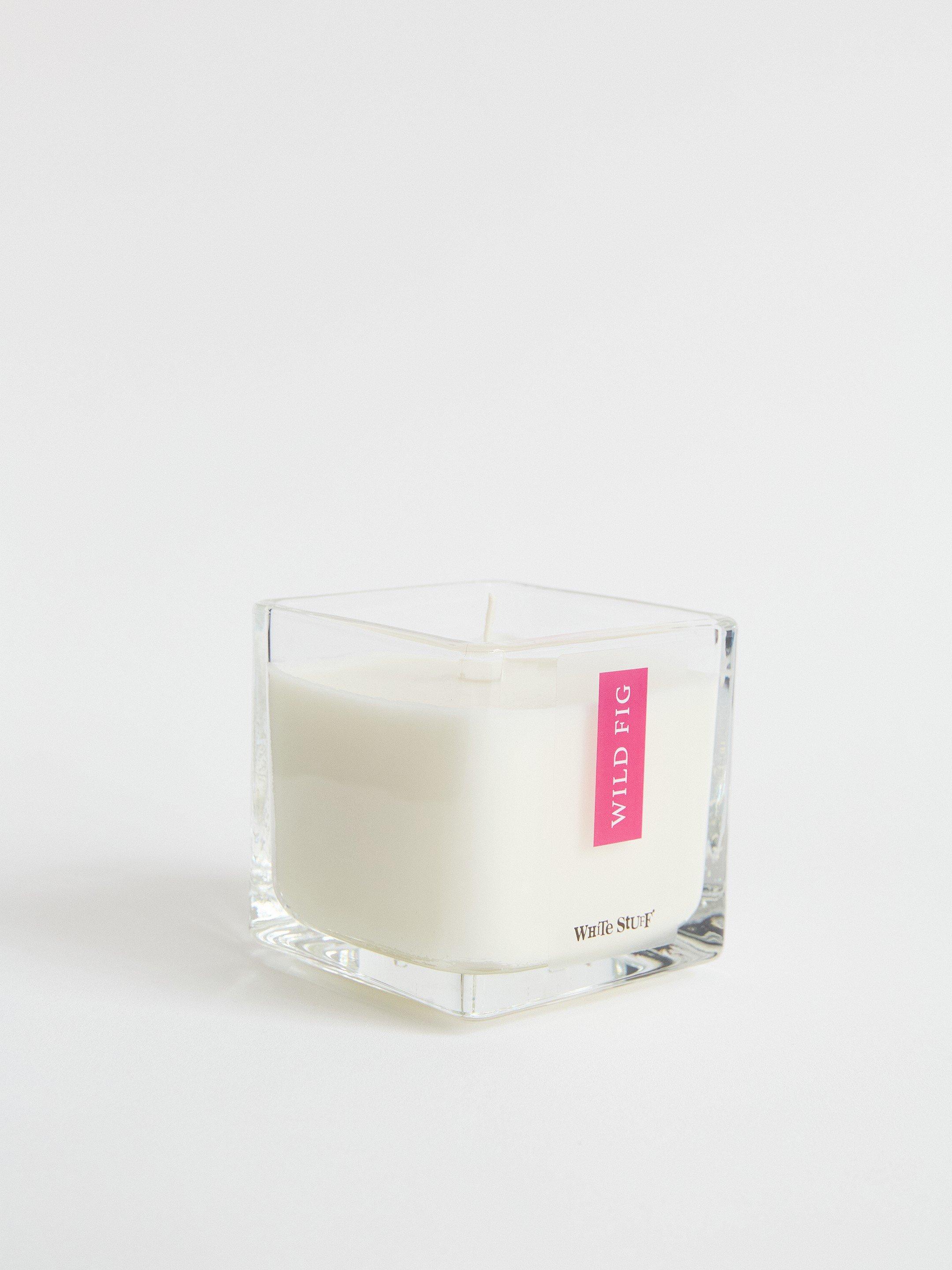 Wild Fig Candle in TEAL MLT - FLAT FRONT