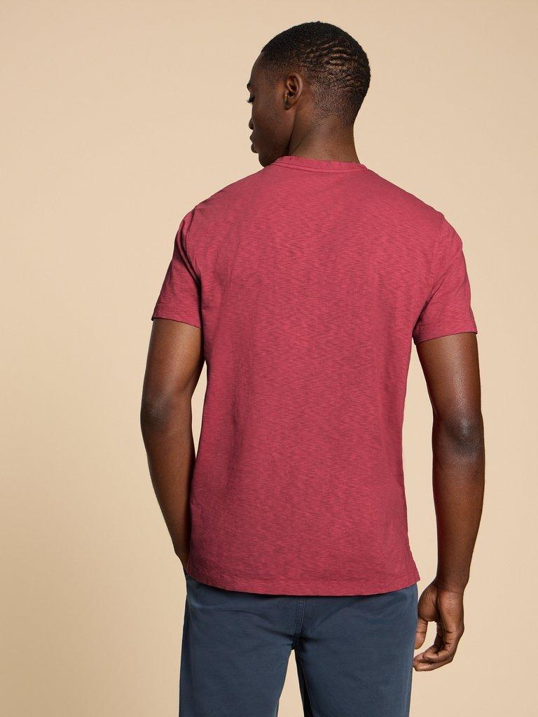Abersoch Short Sleeve Tee in MID CORAL - MODEL BACK