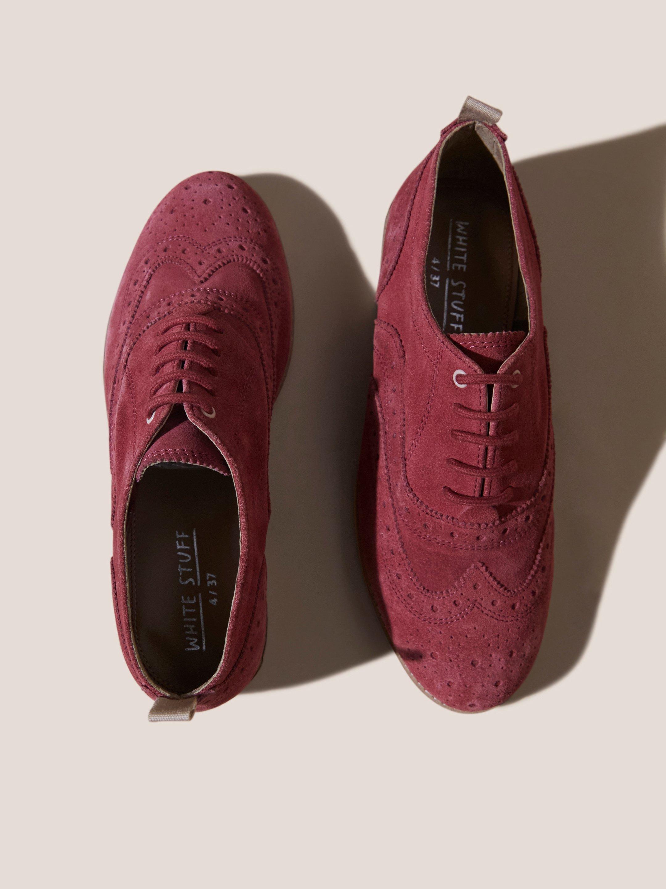 Thistle Lace Up Brogue in BRT PINK - FLAT BACK
