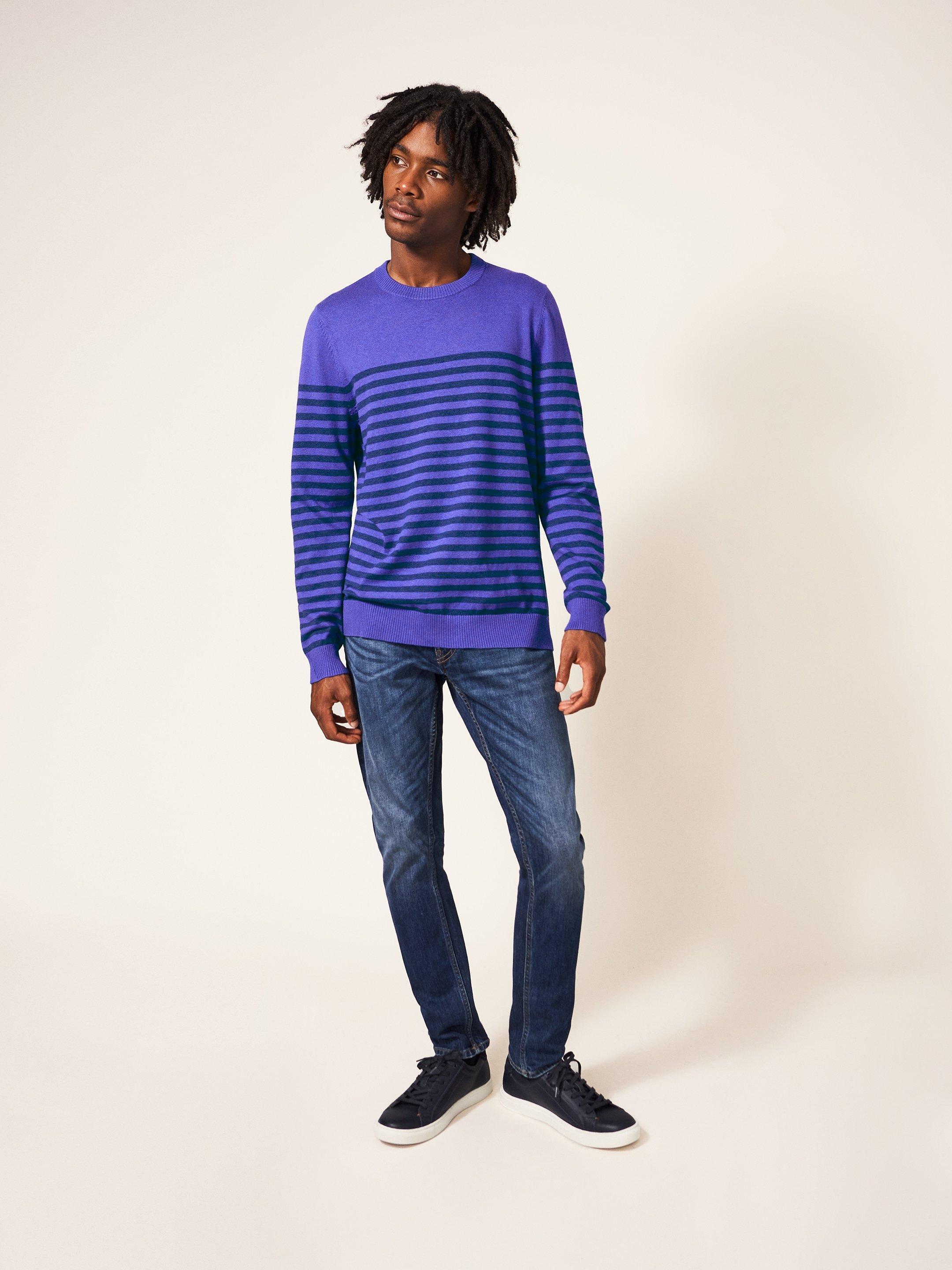 Newport Stripe Crew in BLUE MLT - MODEL FRONT