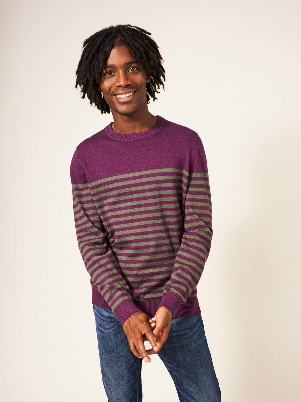 Newport Stripe Crew in PURPLE MLT - LIFESTYLE