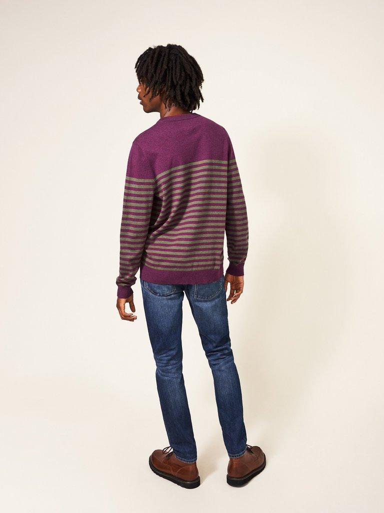 Newport Stripe Crew in PURPLE MLT - MODEL BACK