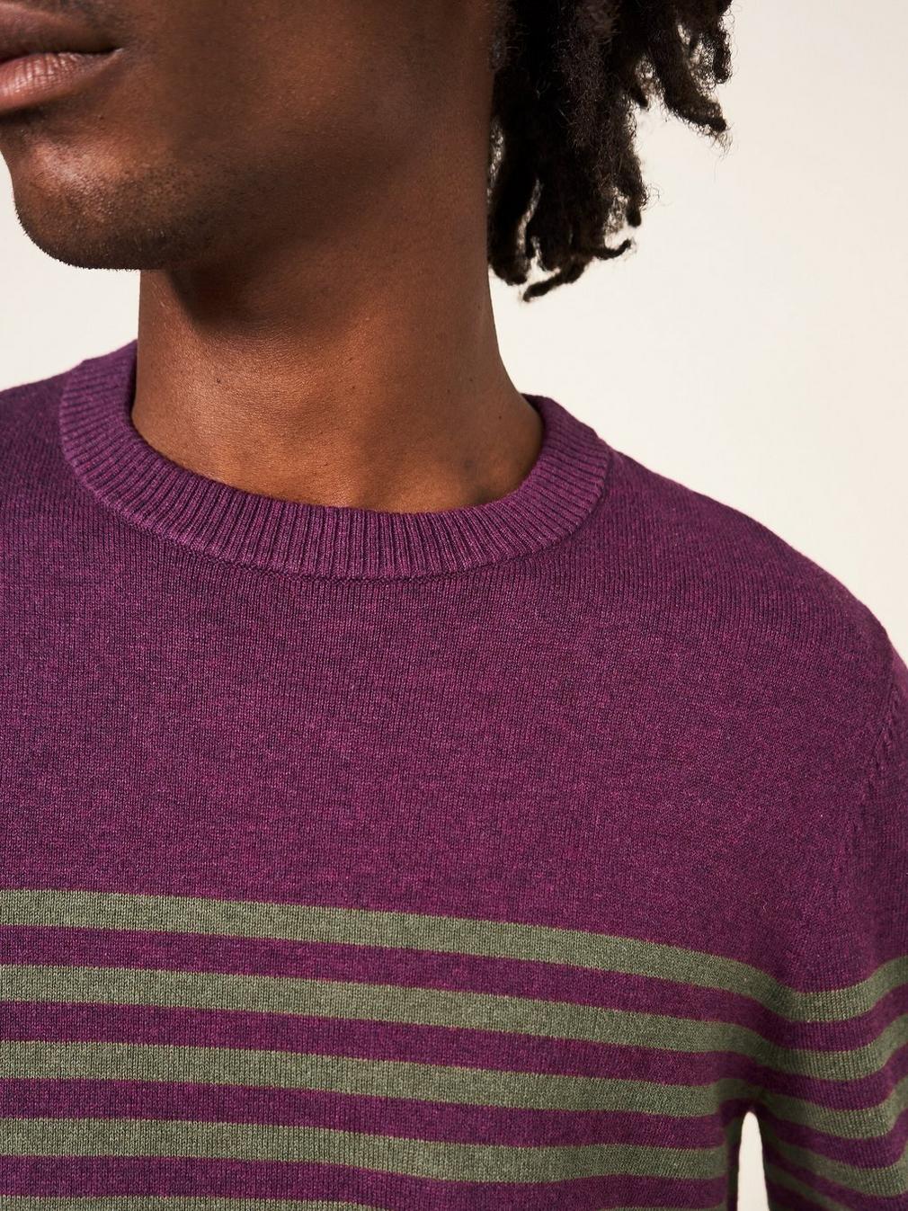 Newport Stripe Crew in PURPLE MLT - MODEL DETAIL