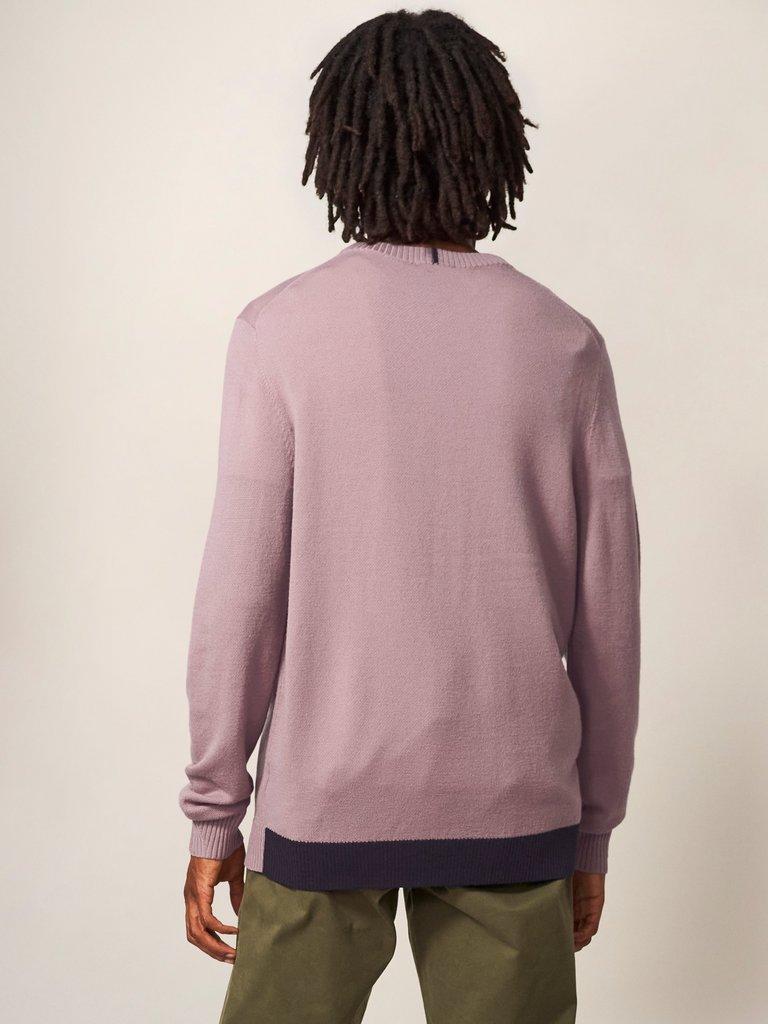 Newport Merino Crew in DUS PINK - MODEL BACK