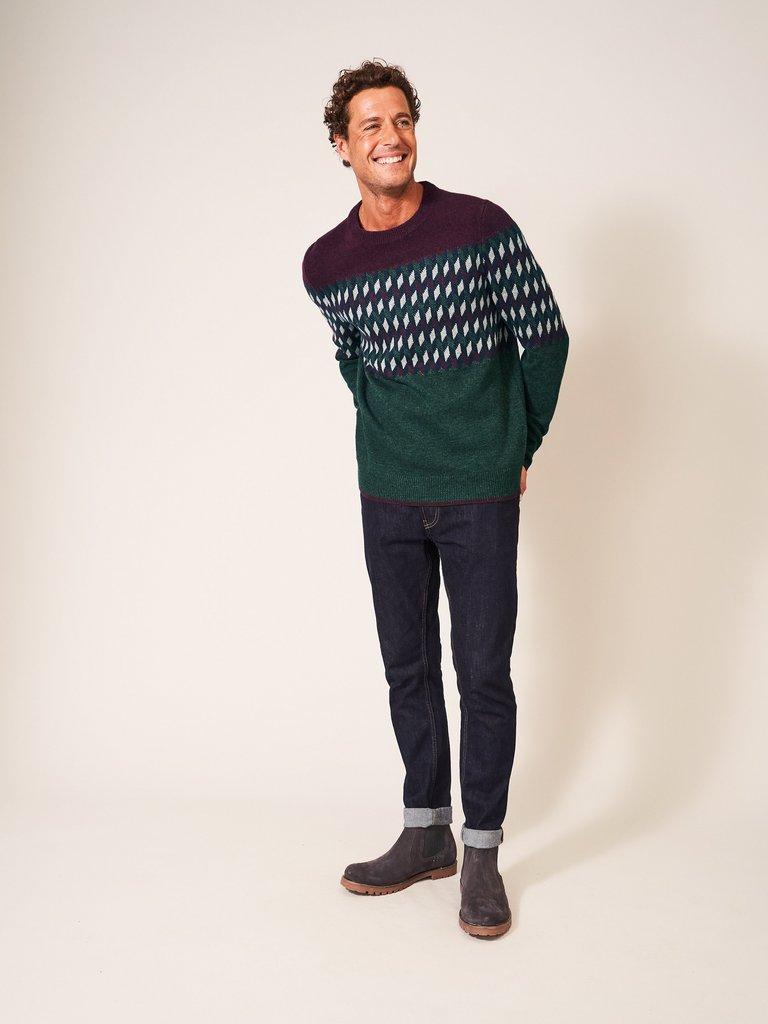 Baxton Pattern Crew in DEEP RED - MODEL BACK