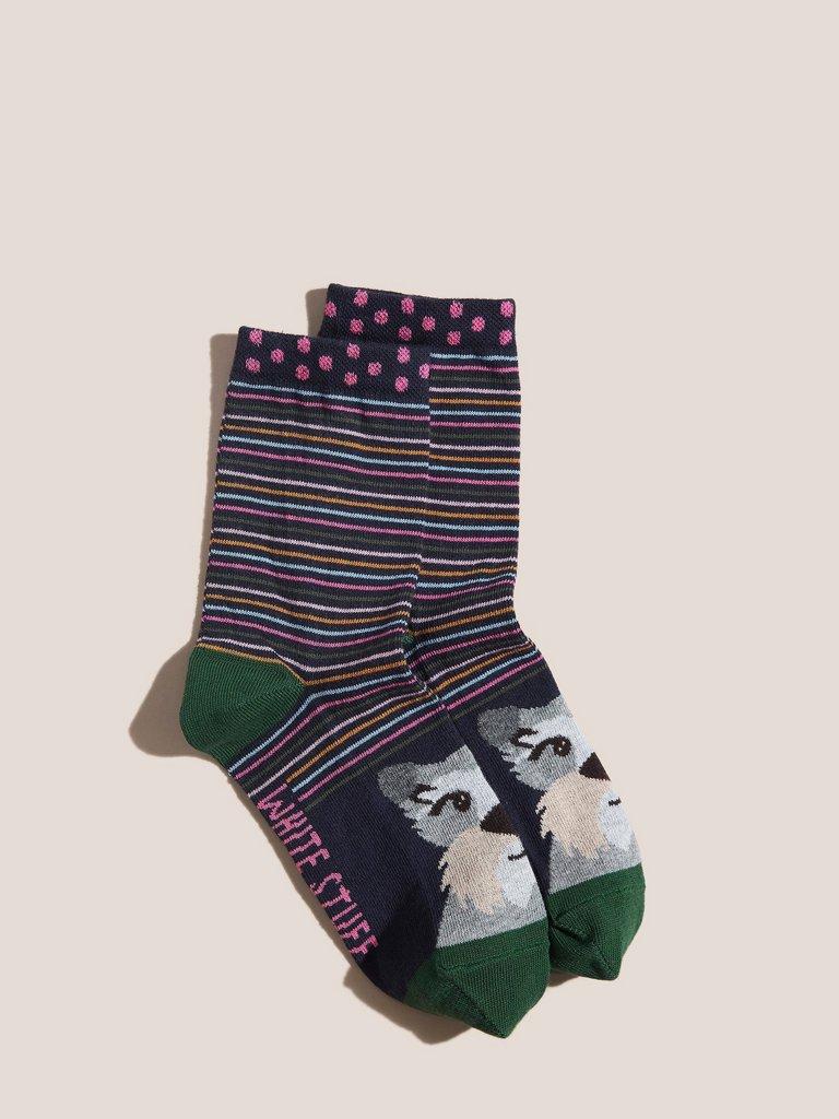 Bertie Dog Sock in NAVY MULTI - FLAT FRONT