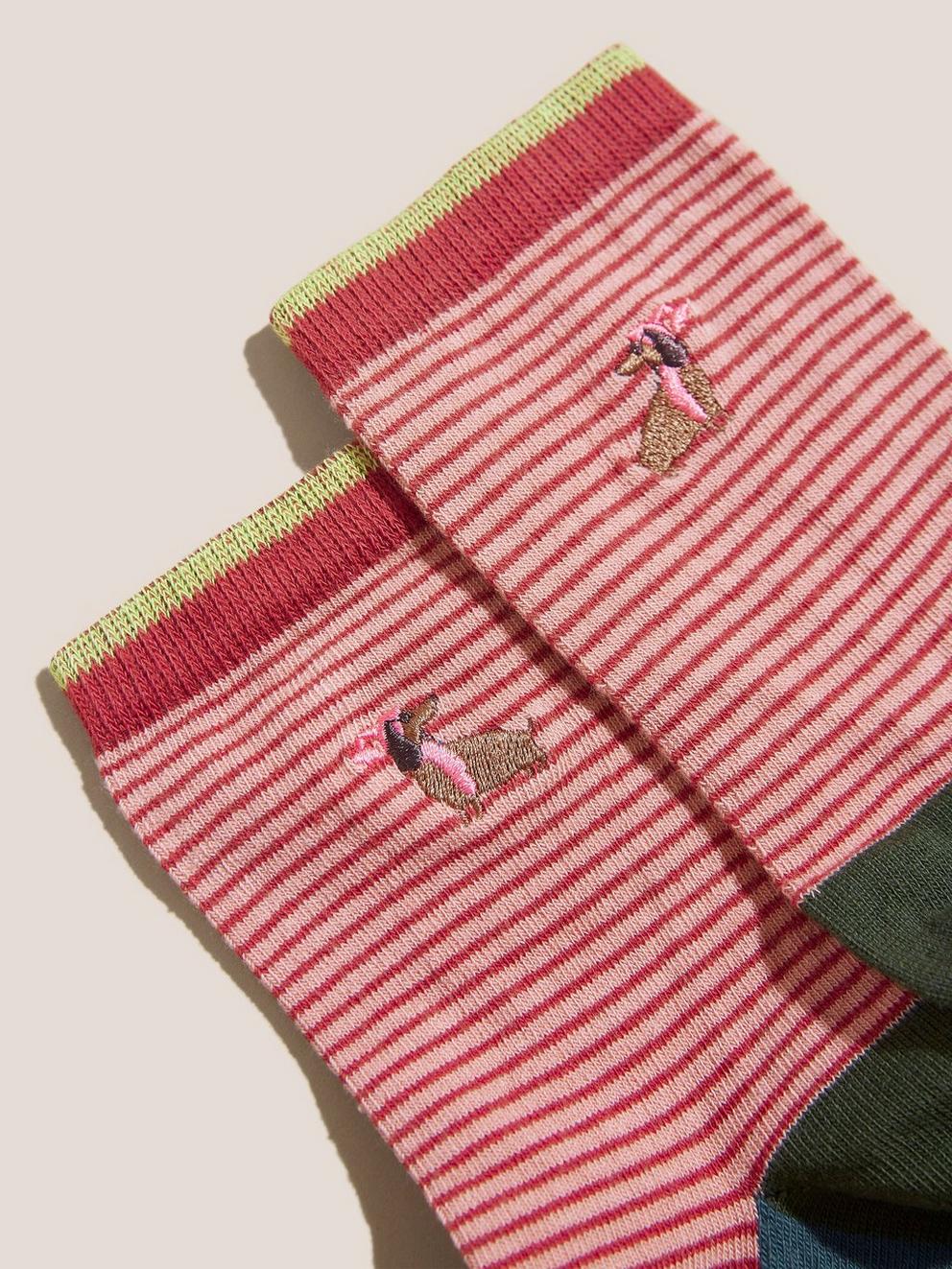 Sausage Dog Stripe Sock in PINK MLT - FLAT DETAIL