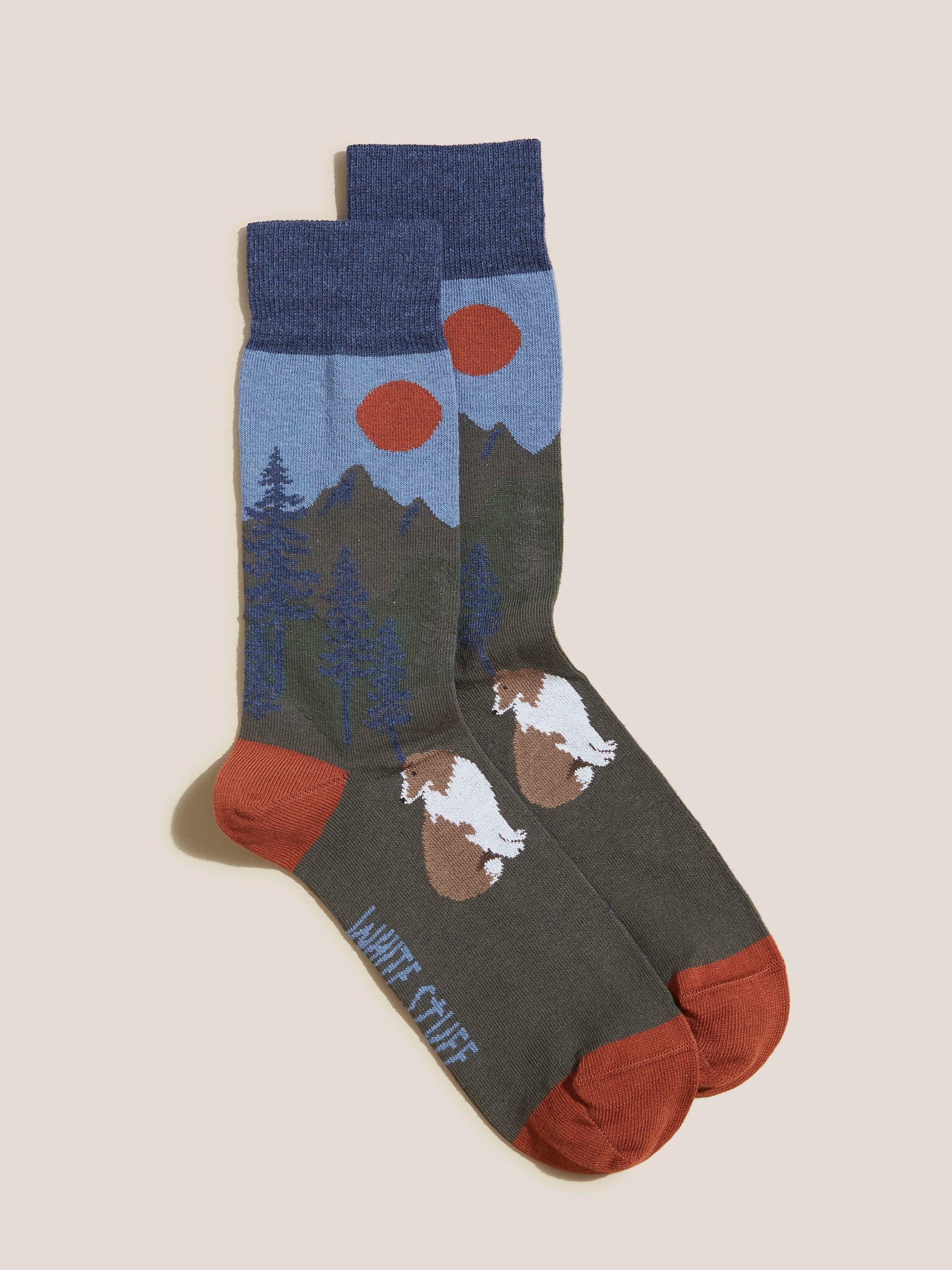 Scenic Dog Socks in NAVY MULTI - FLAT FRONT