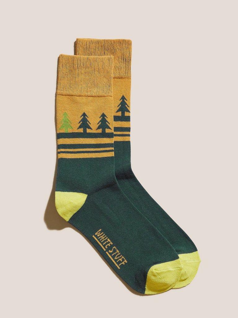 Christmas Tree Socks in CHART MLT - FLAT FRONT