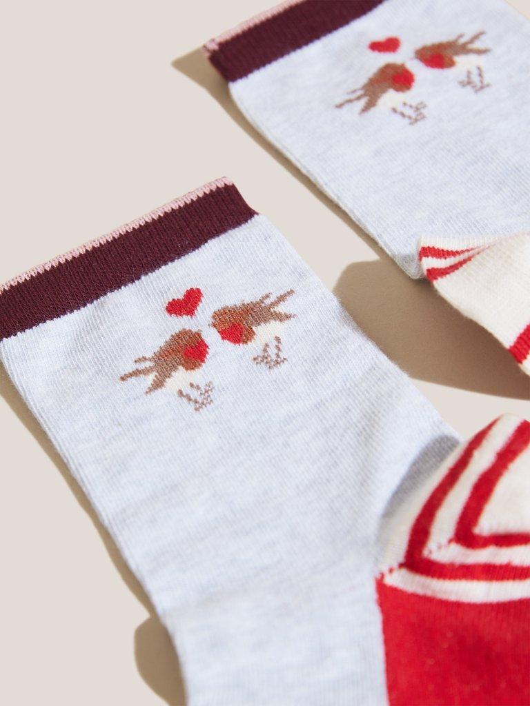 Robin Sock In Box in GREY MLT - FLAT DETAIL