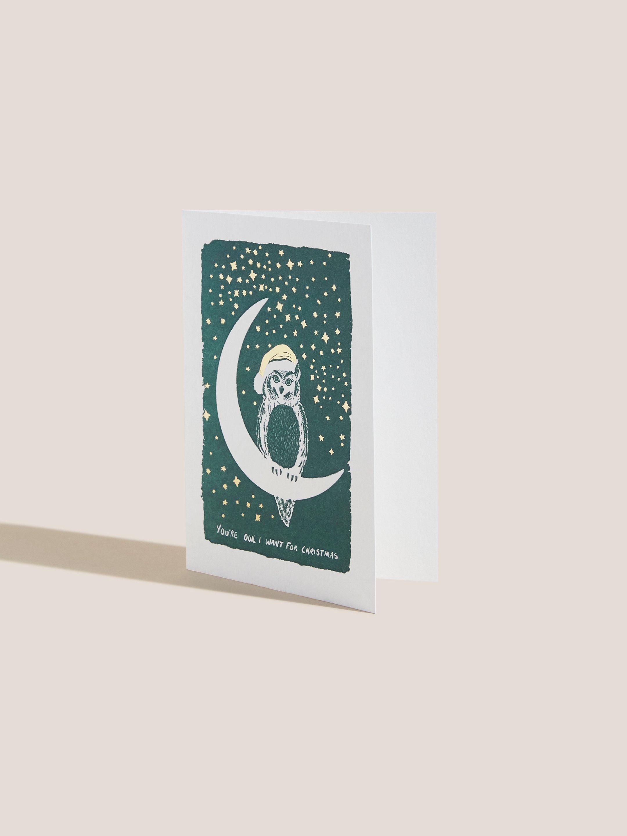 Owl Christmas Cards in BLUE MLT - FLAT DETAIL