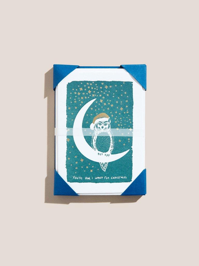 Owl Christmas Cards in BLUE MLT - MODEL FRONT