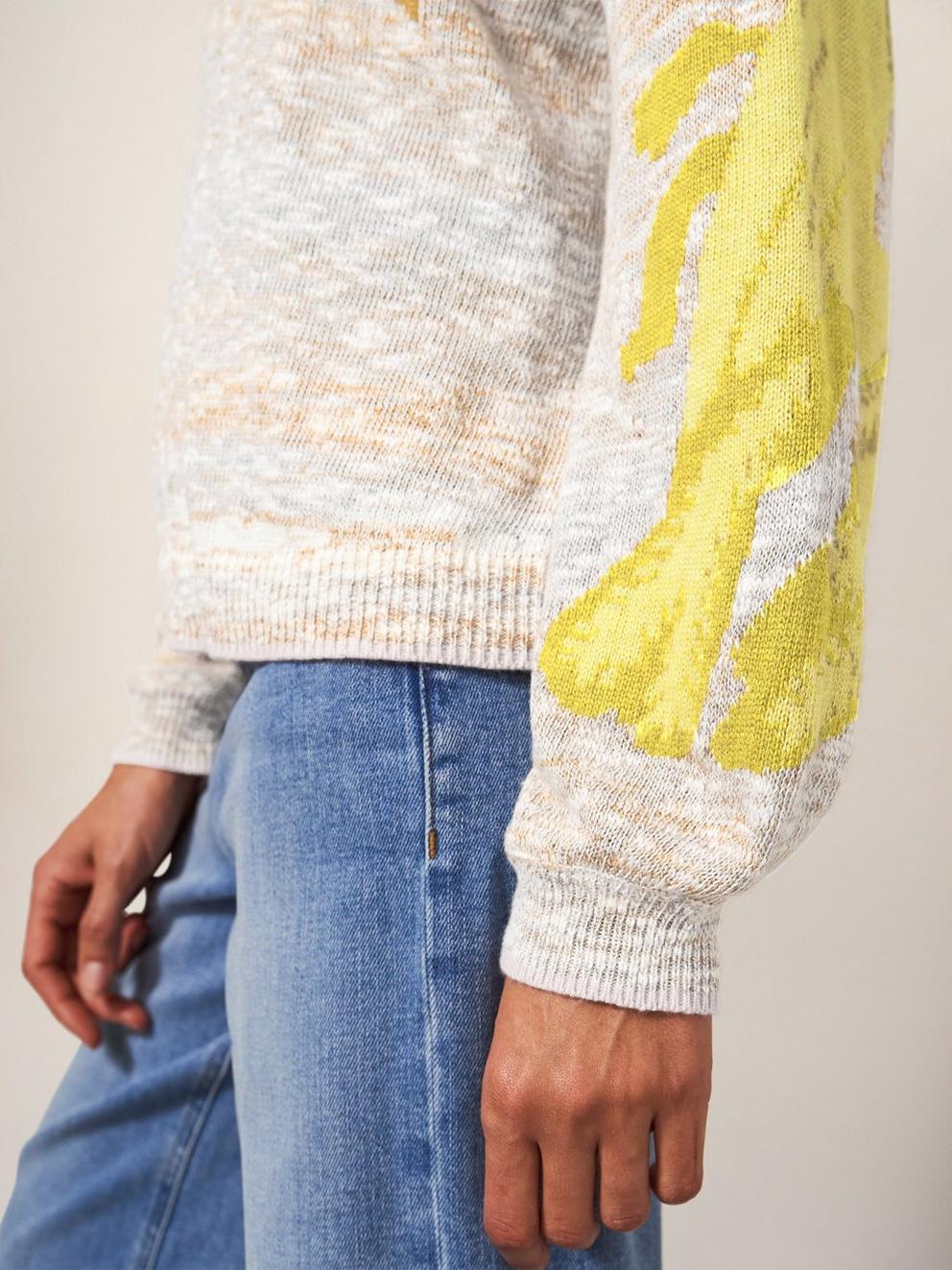 Ibis Intarsia Jumper in NAT MLT - MODEL DETAIL