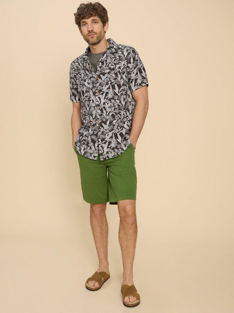 Sutton Organic Chino Short in BRT GREEN - LIFESTYLE