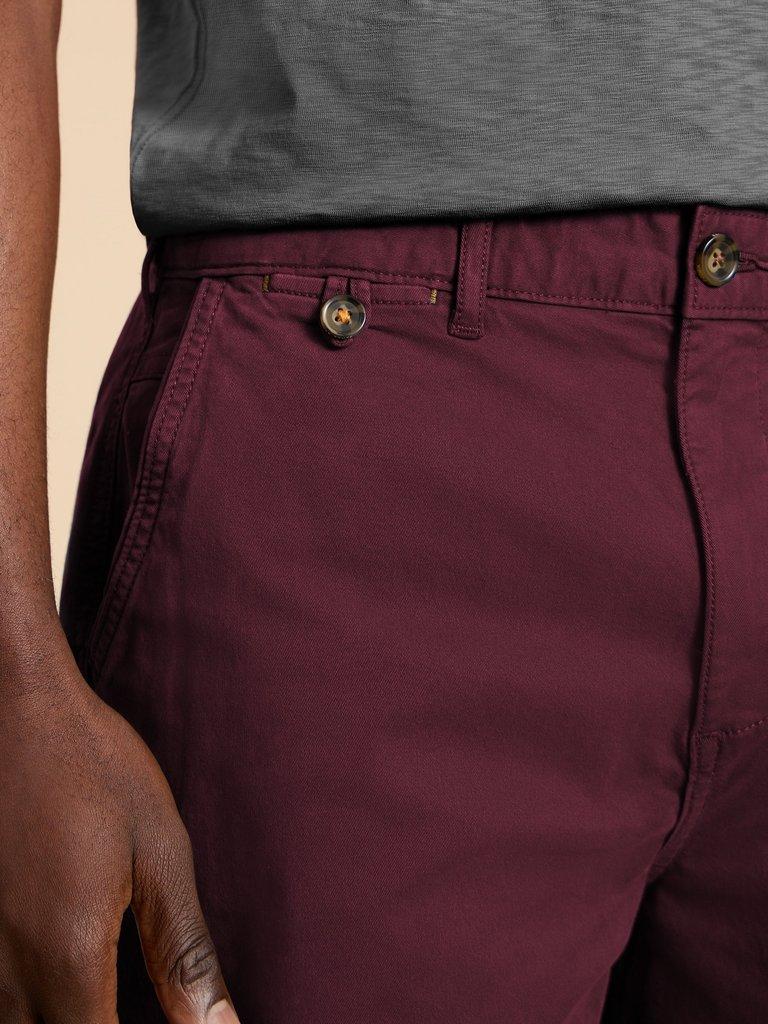 Sutton Organic Chino Short in DK PLUM - MODEL FRONT