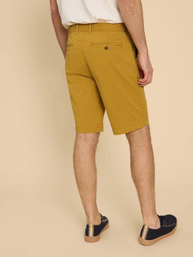 Sutton Organic Chino Short in DP YELLOW - MODEL BACK