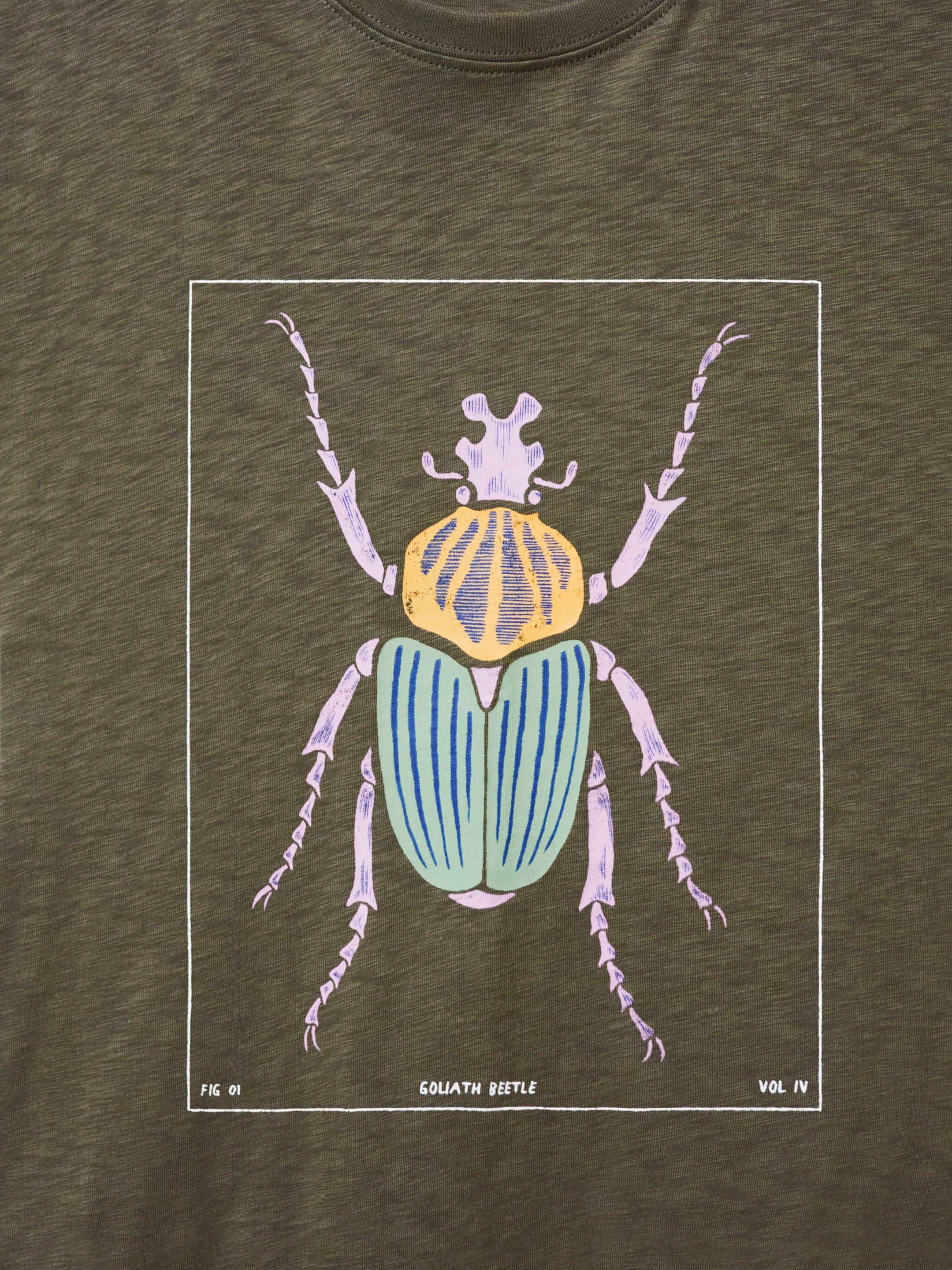 Goliath Beetle Graphic Tee in KHAKI GRN - FLAT DETAIL