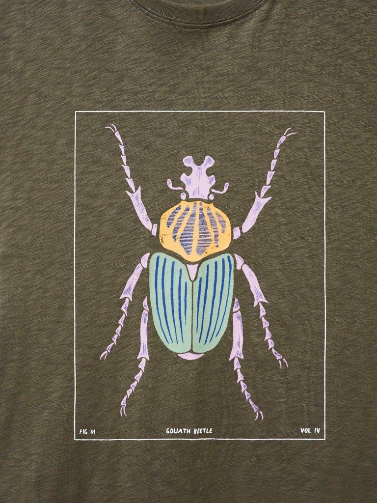 Goliath Beetle Graphic Tee in KHAKI GRN - FLAT DETAIL