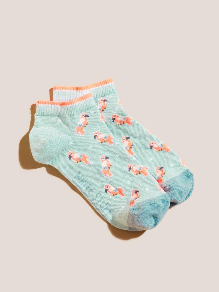 Parrot Trainer Socks in MINT GREEN - FLAT FRONT