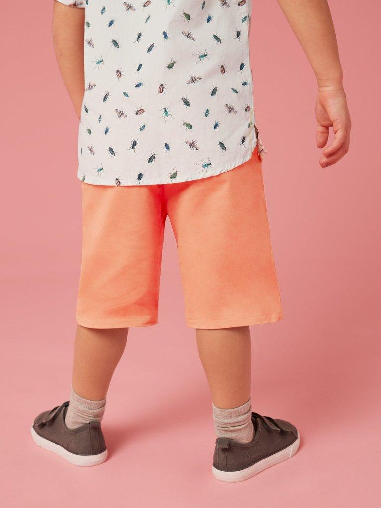 Cole Chino Short in MID CORAL - MODEL BACK