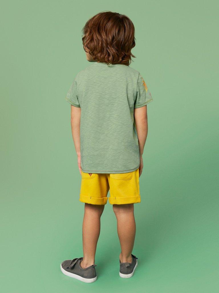Sunny Rainbow Graphic T Shirt in GREEN PR - MODEL BACK