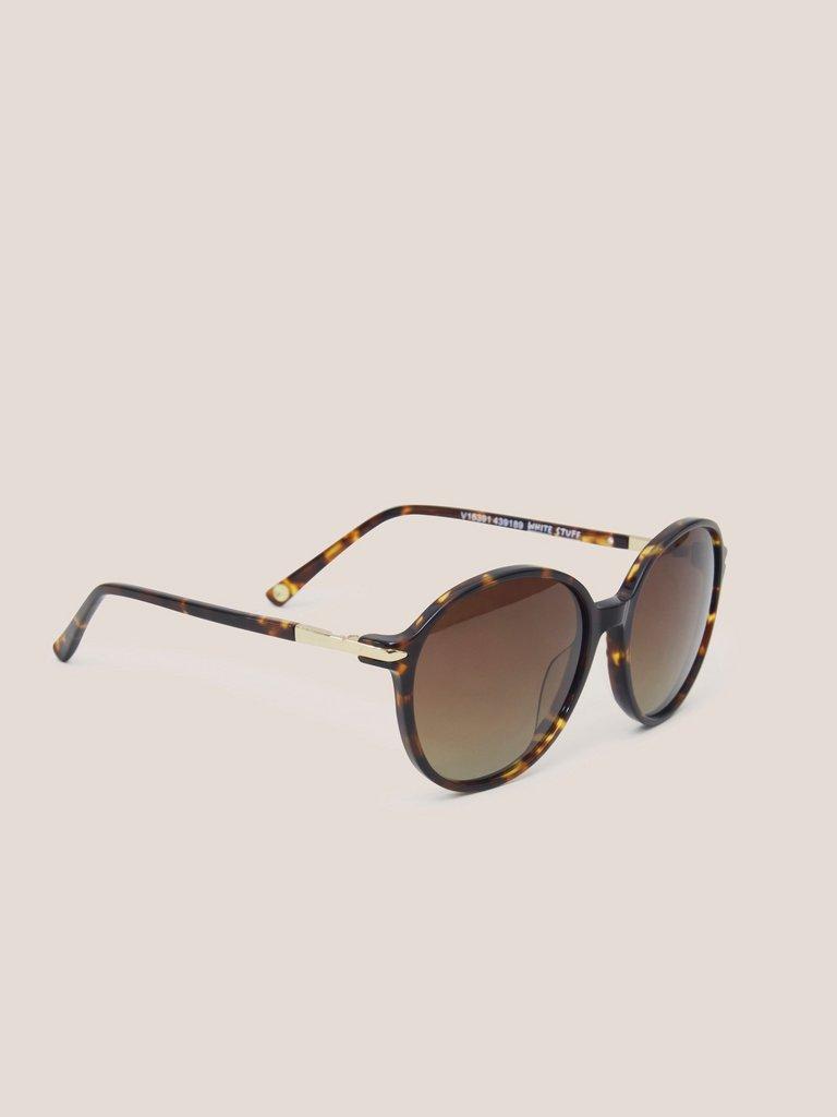 Round Acetate Sunglasses in BROWN MLT - FLAT BACK