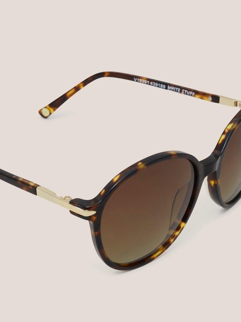 Round Acetate Sunglasses in BROWN MLT - FLAT DETAIL