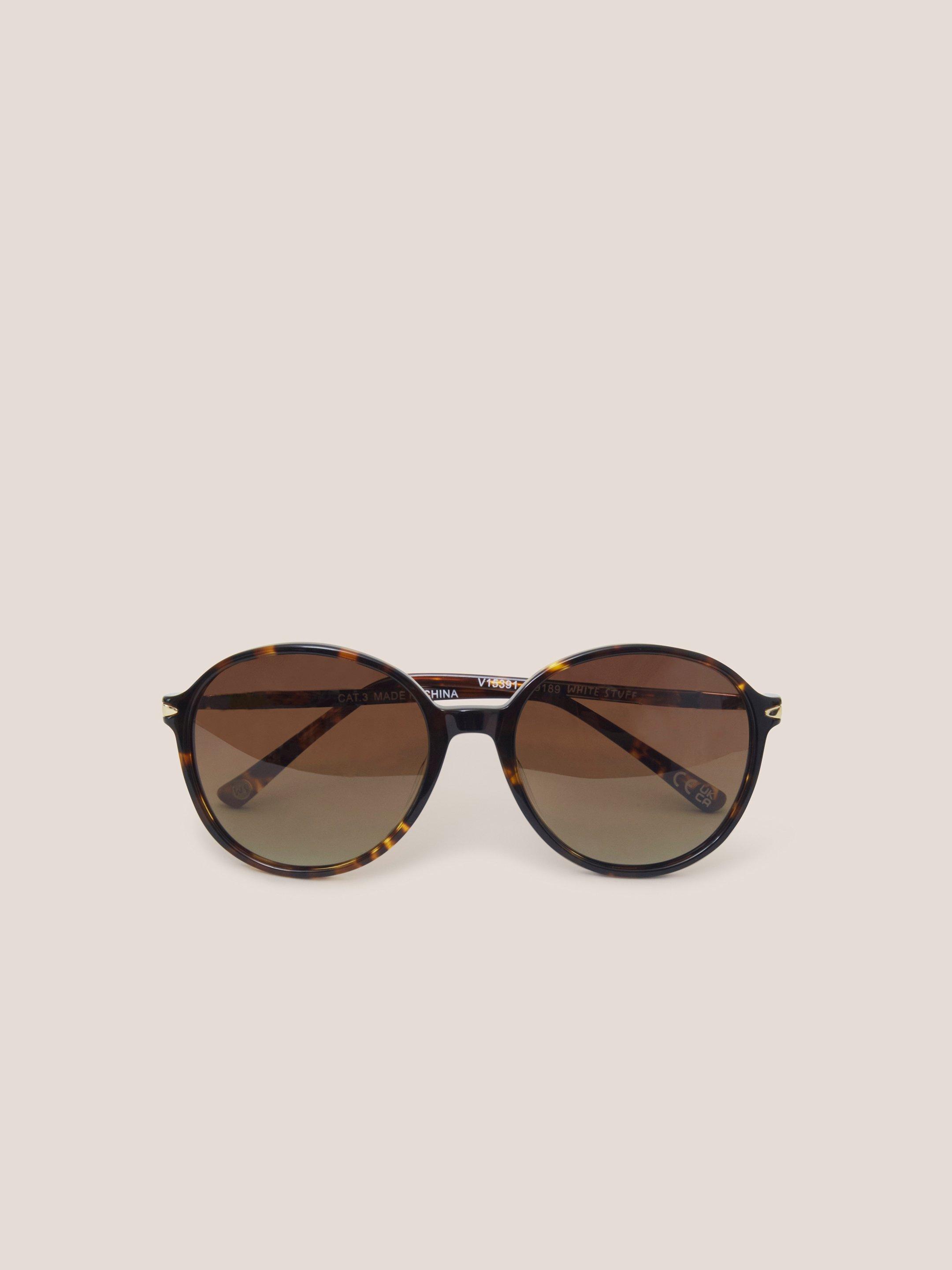 Round Acetate Sunglasses in BROWN MLT - FLAT FRONT