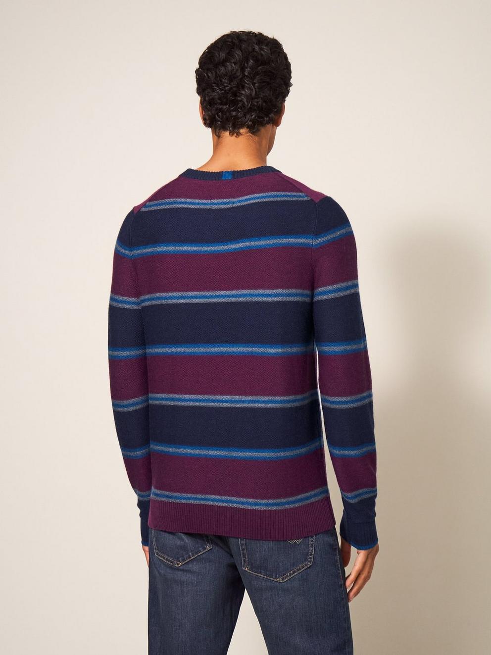 Newport Merino Stripe Crew in NAVY MULTI - MODEL BACK