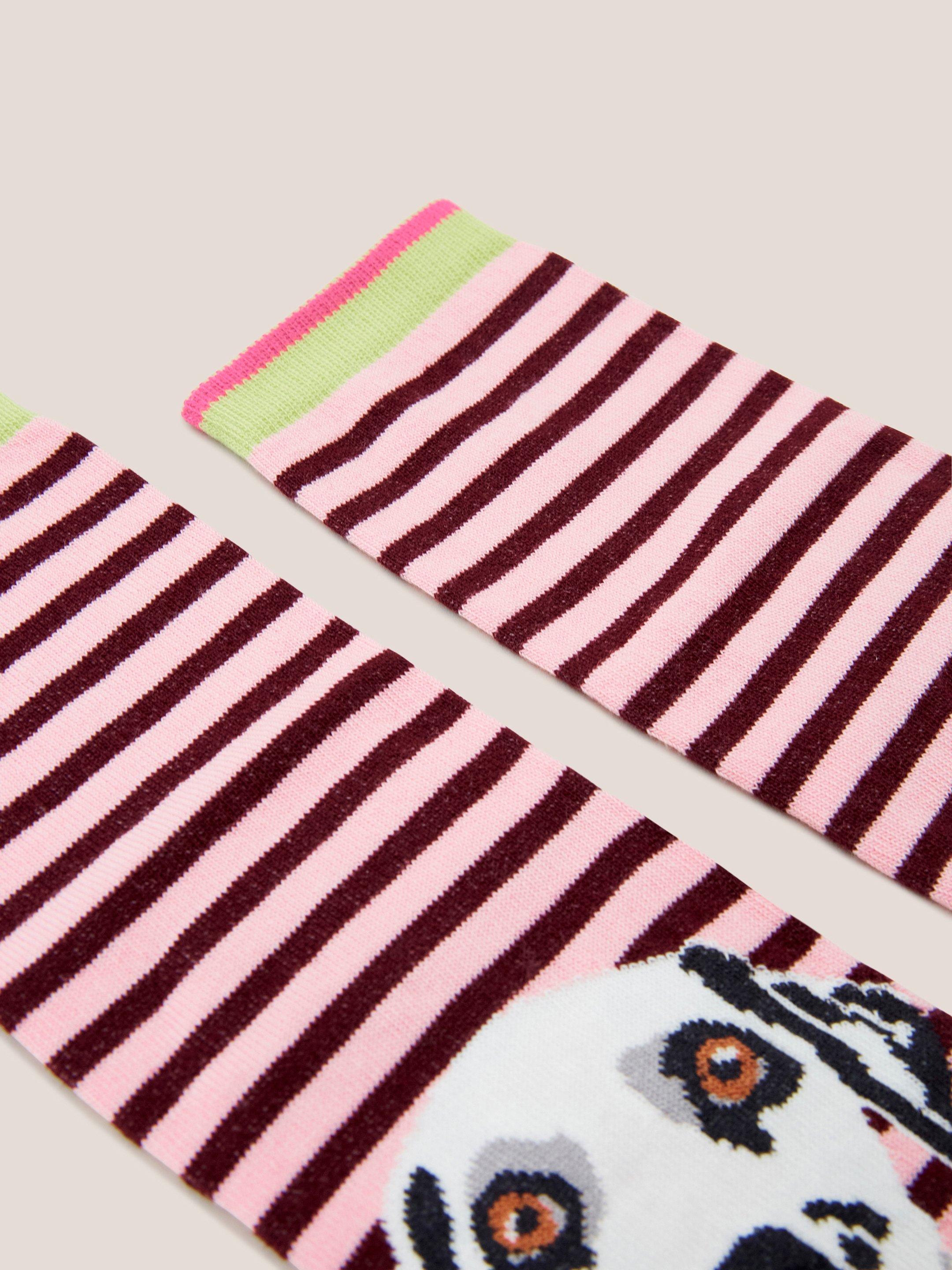 Dalmatian Stripe Ankle Sock in PINK MLT - FLAT DETAIL