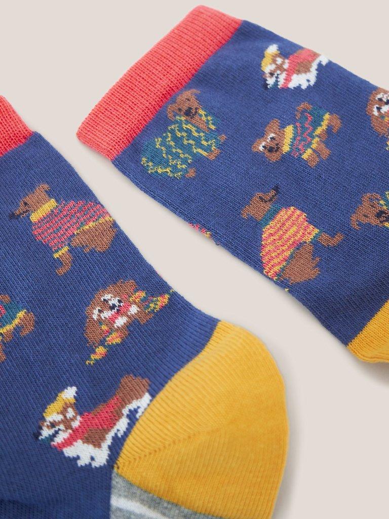 Dogs Socks in a Cracker in BLUE MLT - FLAT DETAIL