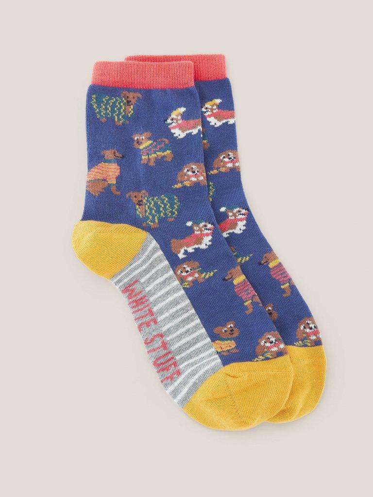 Dogs Socks in a Cracker in BLUE MLT - FLAT FRONT