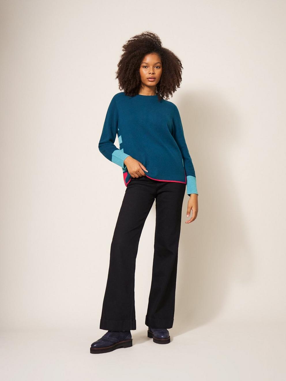 CORA CREW NECK CASHMERE JUMPER in NAVY MULTI - MODEL DETAIL