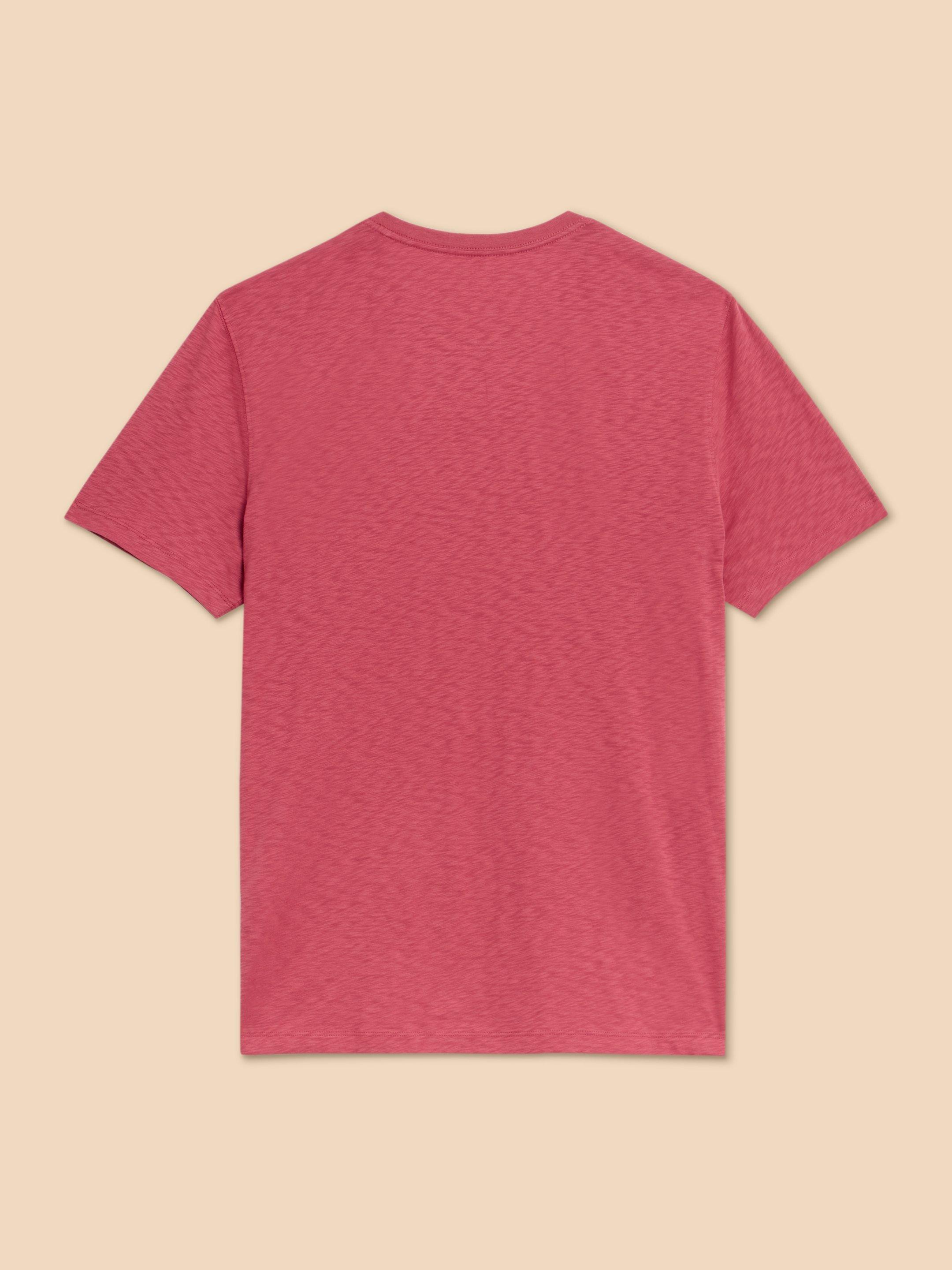 Surf Shell Graphic Tee in CORAL PR - FLAT BACK