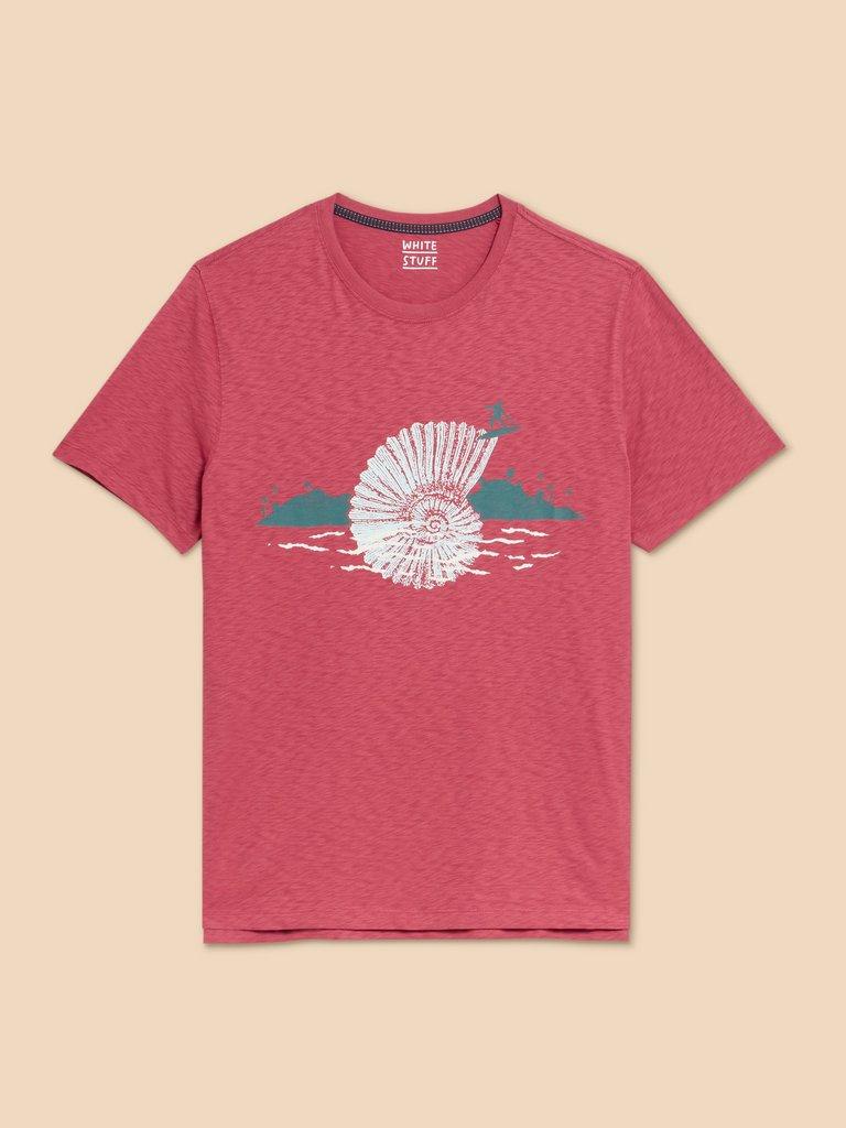 Surf Shell Graphic Tee in CORAL PR - FLAT FRONT
