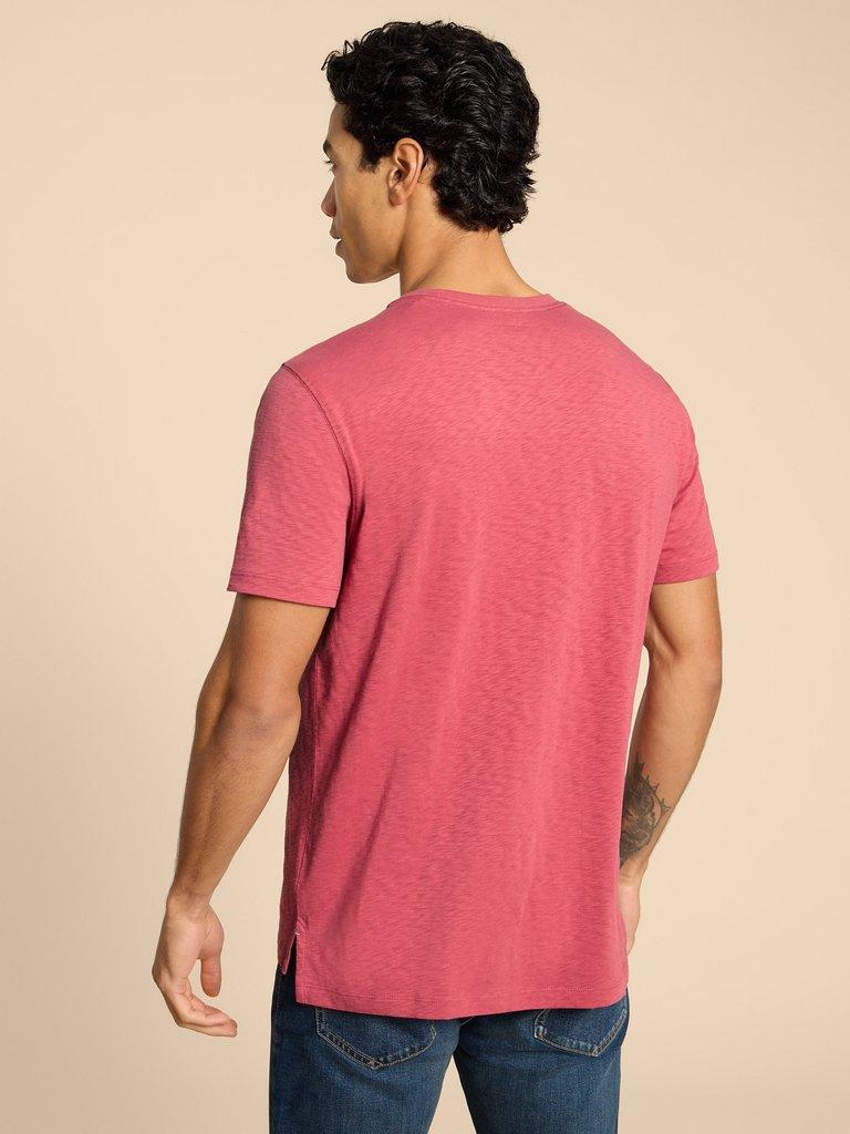 Surf Shell Graphic Tee in CORAL PR - MODEL BACK