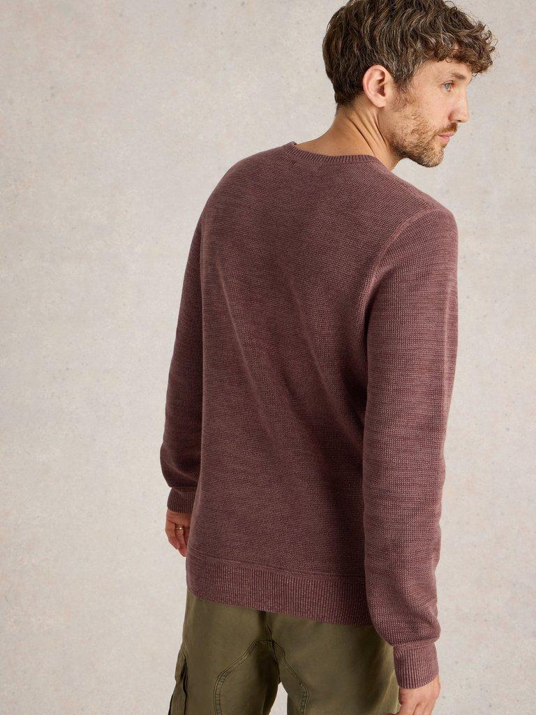 Attadale Crew Neck Jumper in DK PINK - MODEL BACK