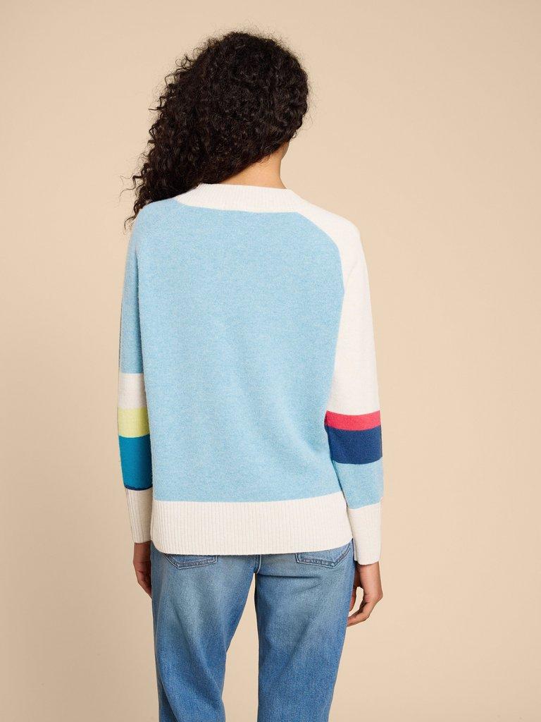 CORA CASHMERE CREW NECK JUMPER in NAT MLT - MODEL BACK