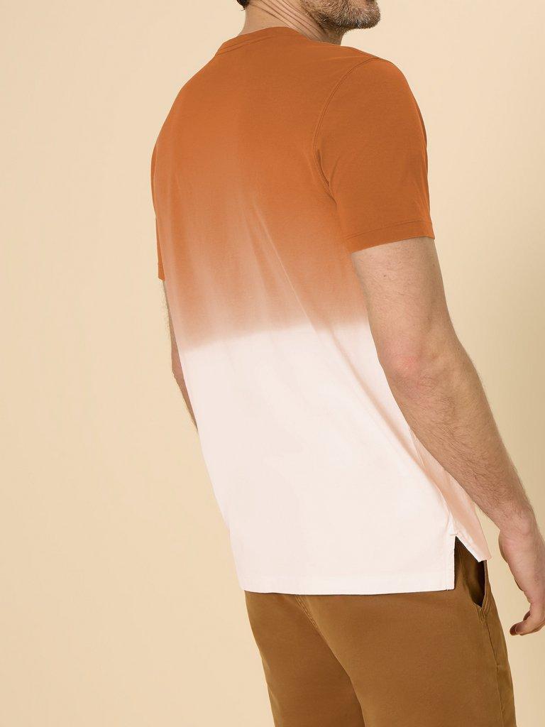 Abersoch Dip Dye SS Tee in ORANGE MLT - MODEL BACK