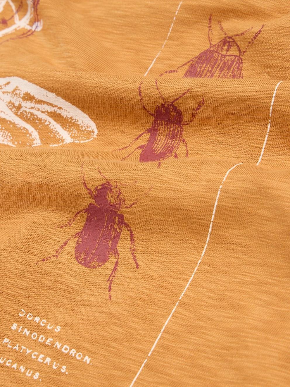 Beetle Graphic Tee in TAN PR - FLAT DETAIL