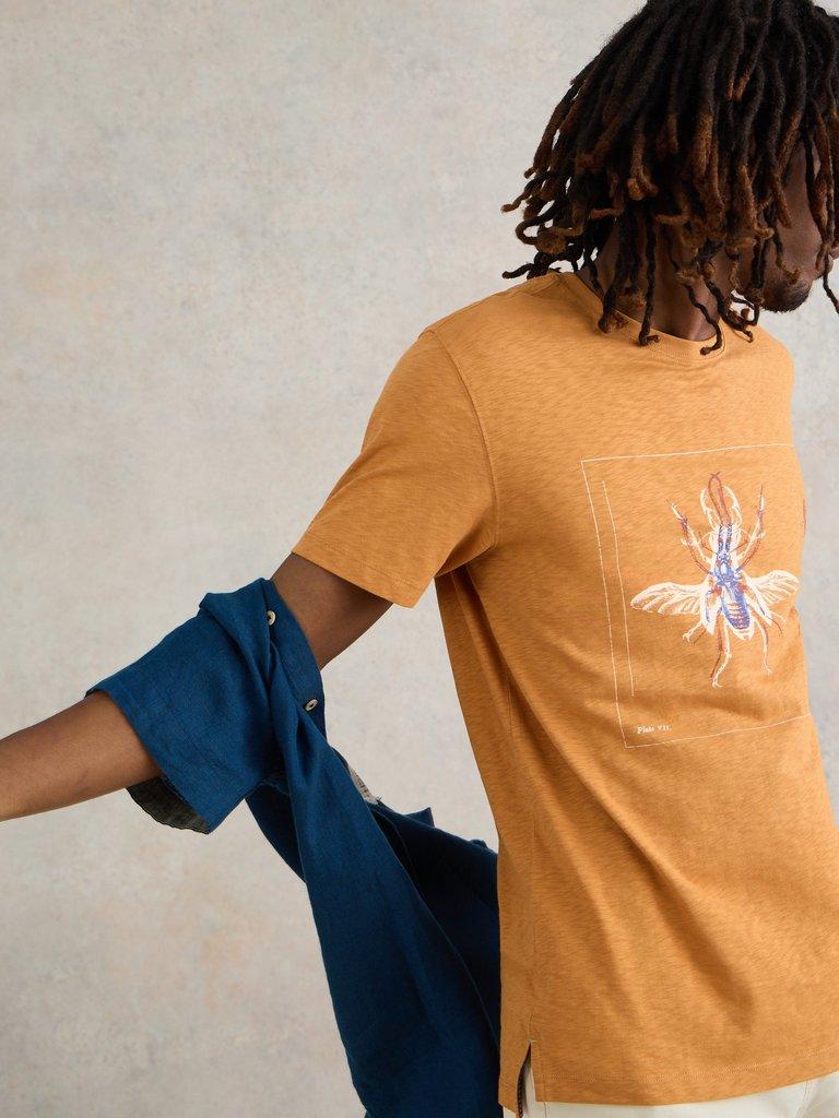 Beetle Graphic Tee in TAN PR - LIFESTYLE