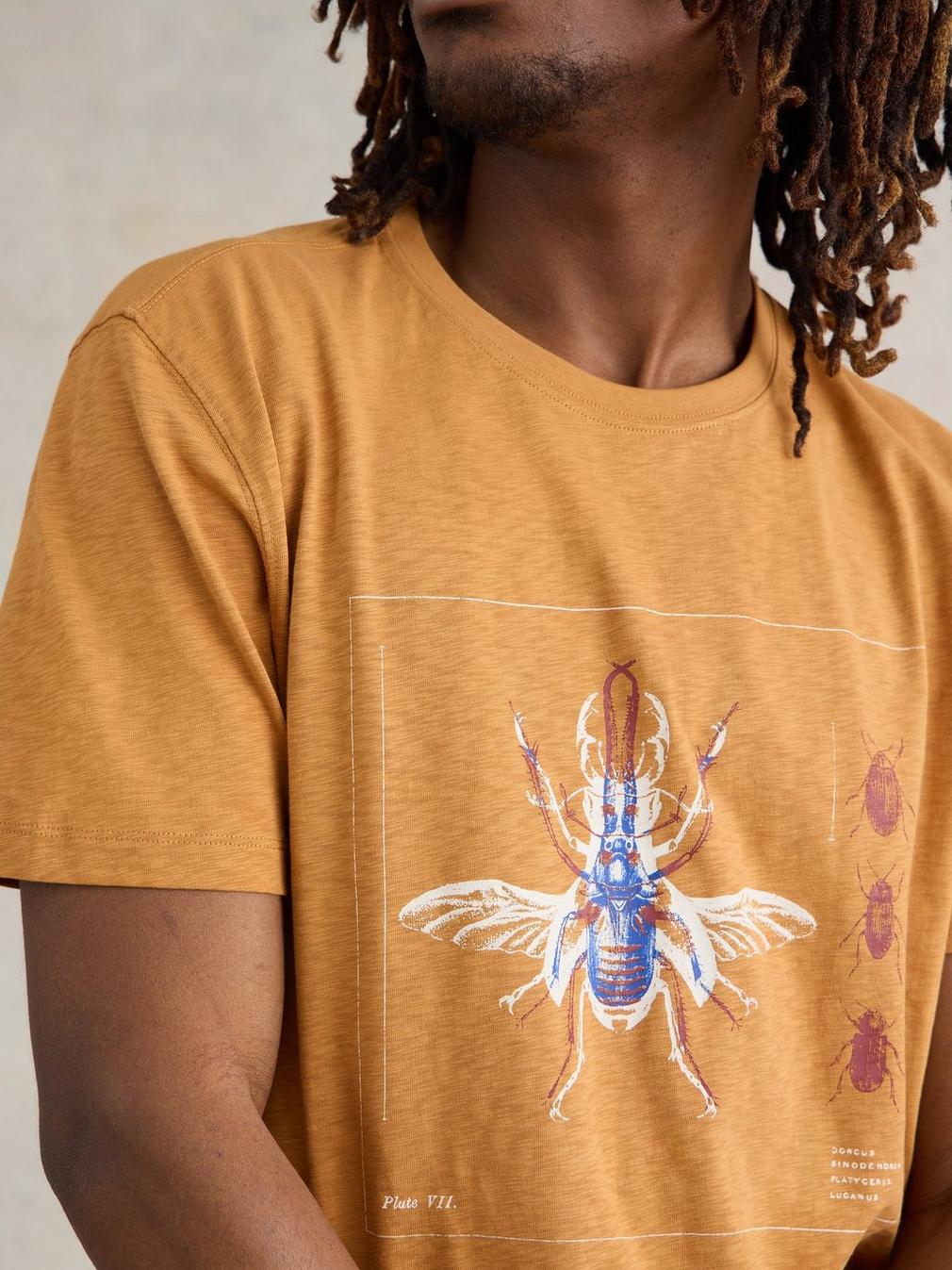 Beetle Graphic Tee in TAN PR - MODEL FRONT