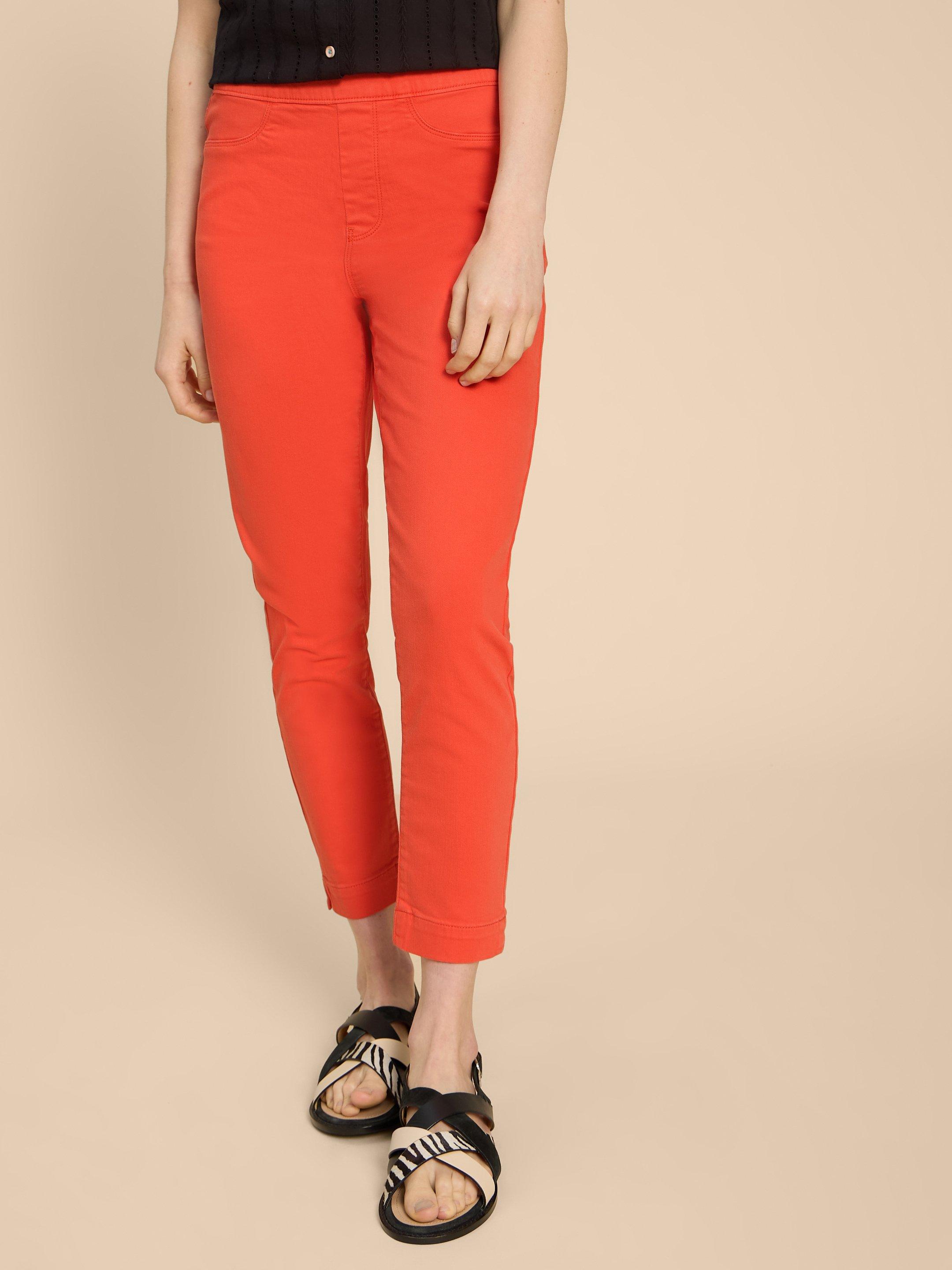Crimson Jegging (Cotton Blend)