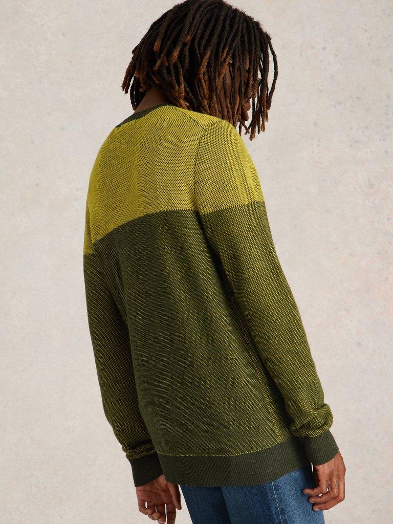 Newport Wool Merino Jacquard Crew in YELLOW MLT - MODEL BACK