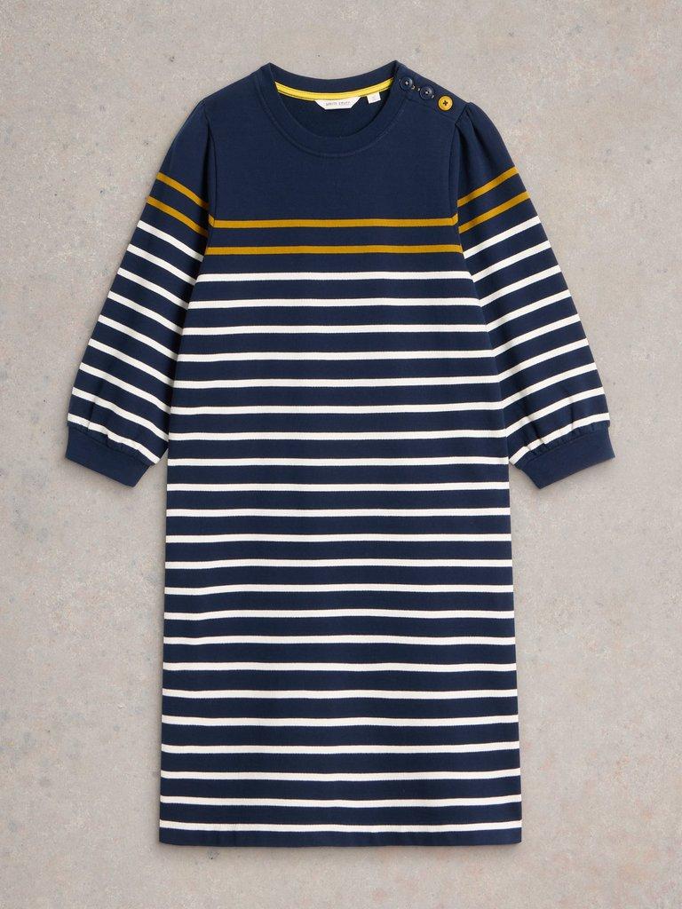 Amy Stripe Dress in NAVY MULTI - FLAT FRONT