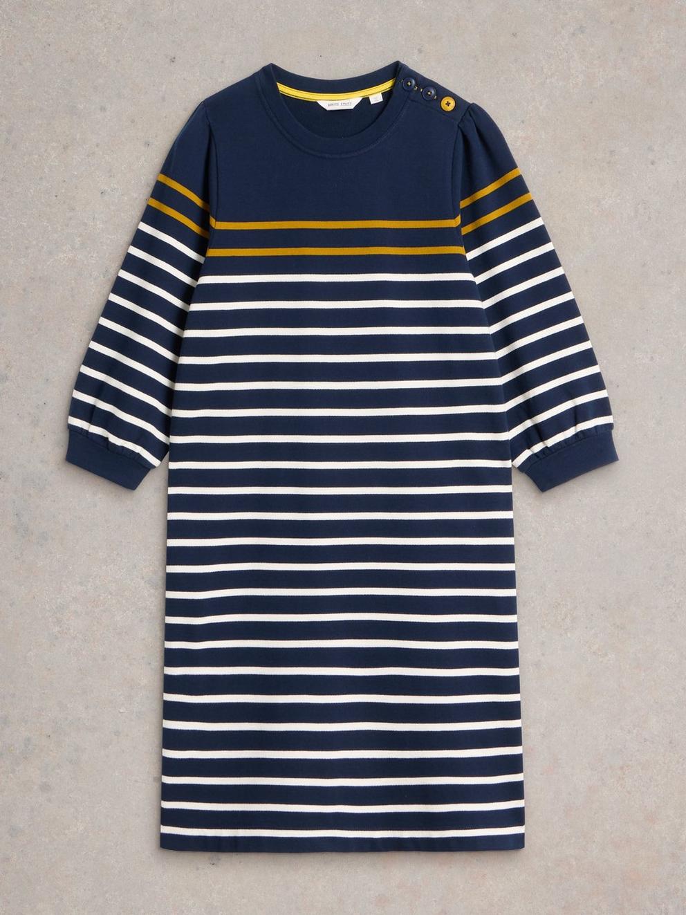 Amy Stripe Dress in NAVY MULTI - FLAT FRONT