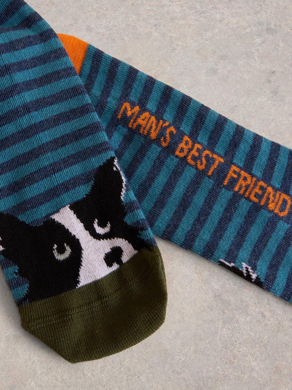 Dog Ankle Sock in BLUE MLT - FLAT DETAIL