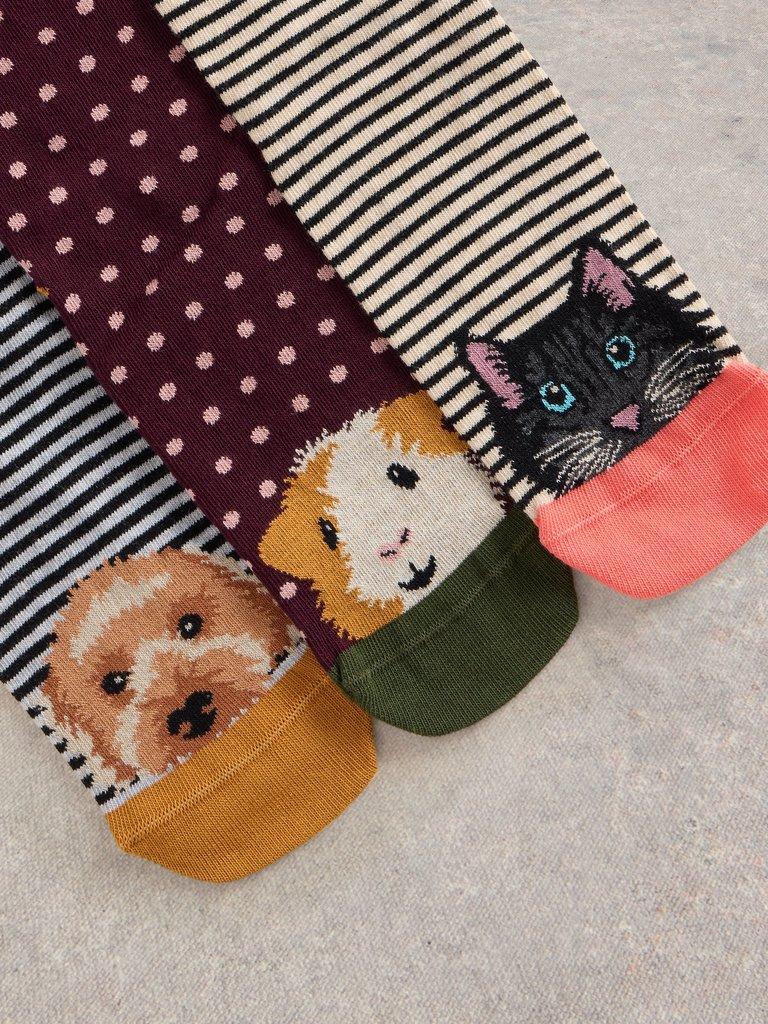 3 Pack Pet Pals Ankle Sock in NAT MLT - FLAT DETAIL